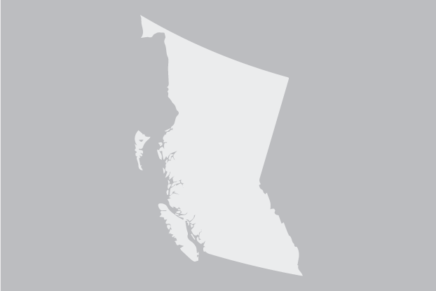 Avatar Alt Image